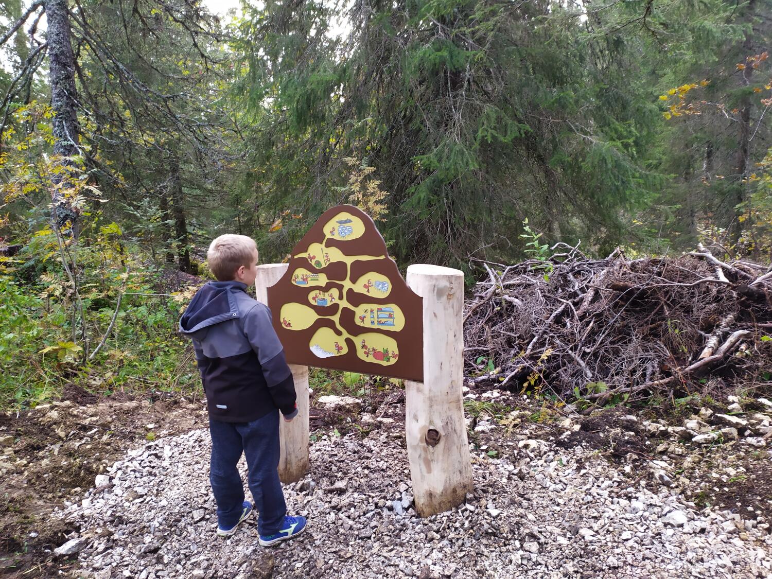 Sentier de la Fourmi des bois