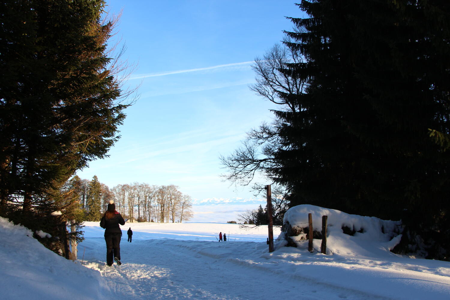 Chalet dernier